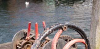 Schreibe deine Erfolgsgeschichte im Web neu