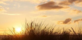 Erholungsurlaub in Henne Strand