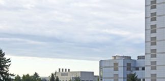 Online-Marketing, mit dem du zu den Gewinnern im Netz gehörst