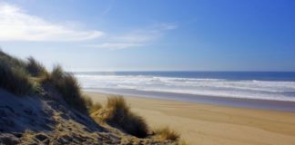 Ein Hoch auf den Sommer