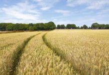 Im Online-Marketing den Durchbruch schaffen