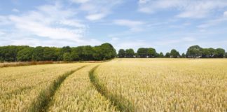 Im Online-Marketing den Durchbruch schaffen