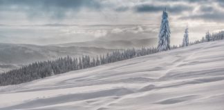 Die Grundlagen der Fotografie