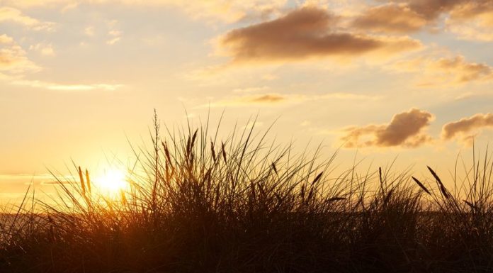 Erholungsurlaub in Henne Strand