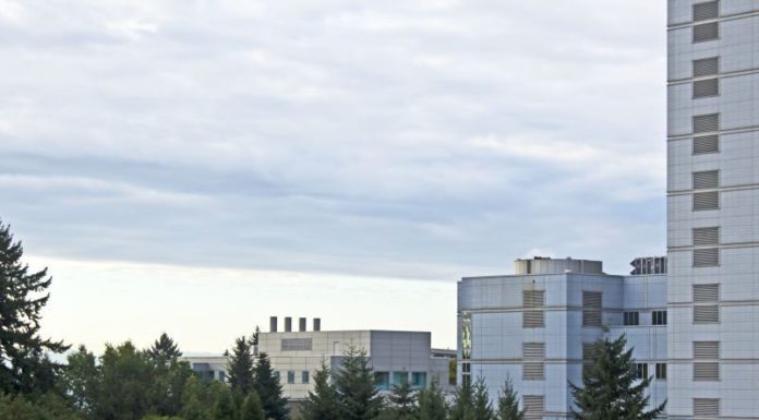 Online-Marketing, mit dem du zu den Gewinnern im Netz gehörst